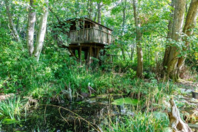 The Treehouse at Castle Cottage